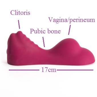 The Ruby Glow sex toy, a pink saddle-style vibrator, labelled with the words "clitoris," "pubic bone" and "vagina/perineum" and marked as being 17cm long.