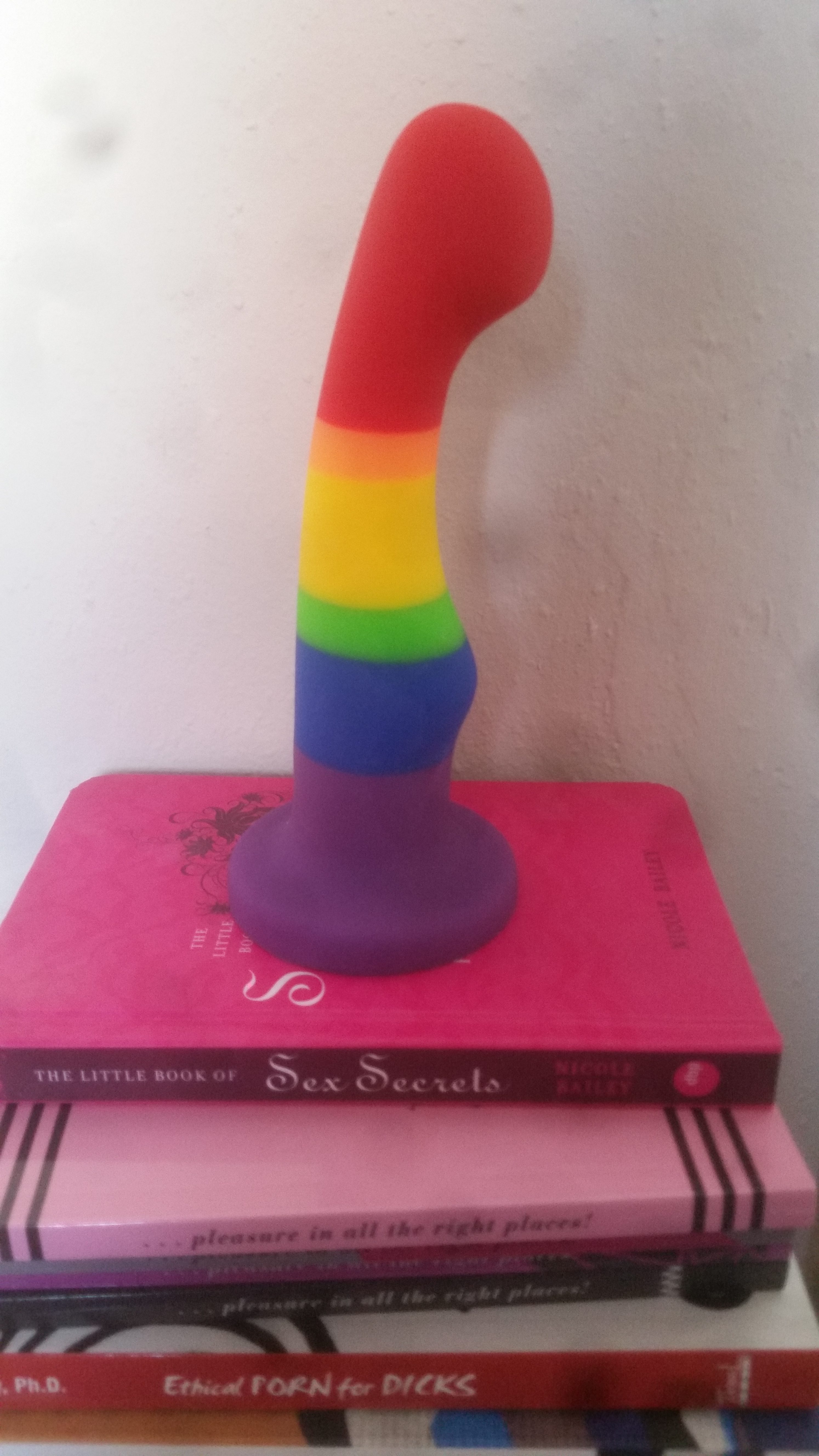 A rainbow dildo standing on a stack of books about sex.