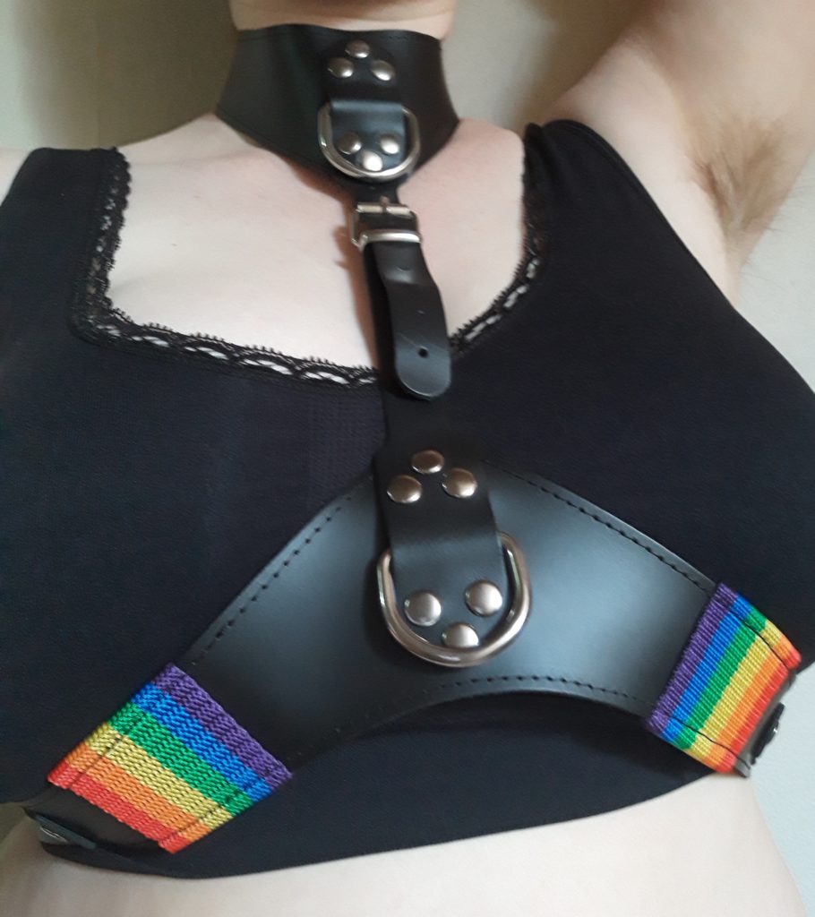 An anonymous white female bodied person wearing the Bondage Boutique pride harness and a black sports bra