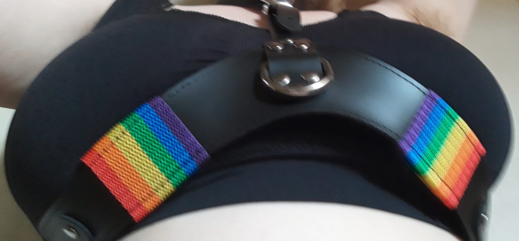 A close up of the Bondage Boutique pride harness on an anonymous white female bodied person wearing a black sports bra