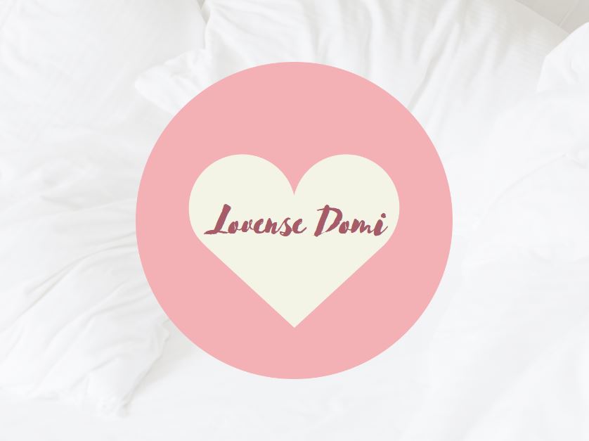 Lovense Domi review header image