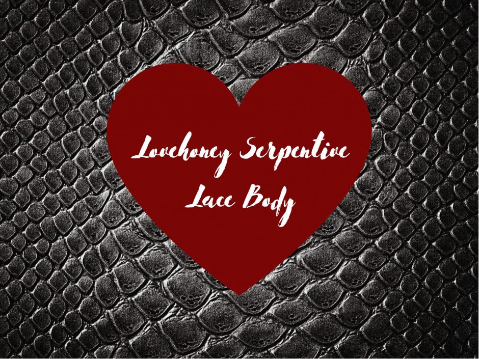 Header image for a review of Lovehoney Fierce lingerie