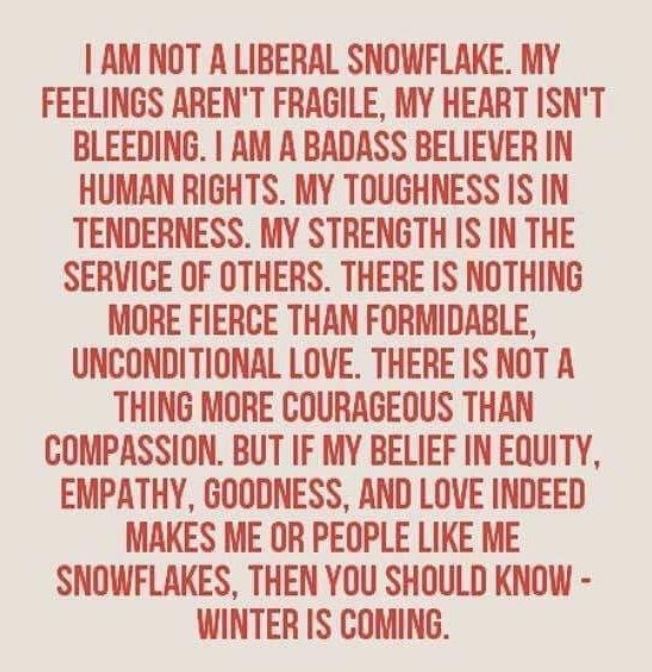 Meme about snowflakes for a post about speaking out against injustice