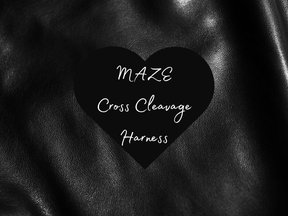 Header image for MAZE Cross Cleavage Faux Leather Chest Harness review