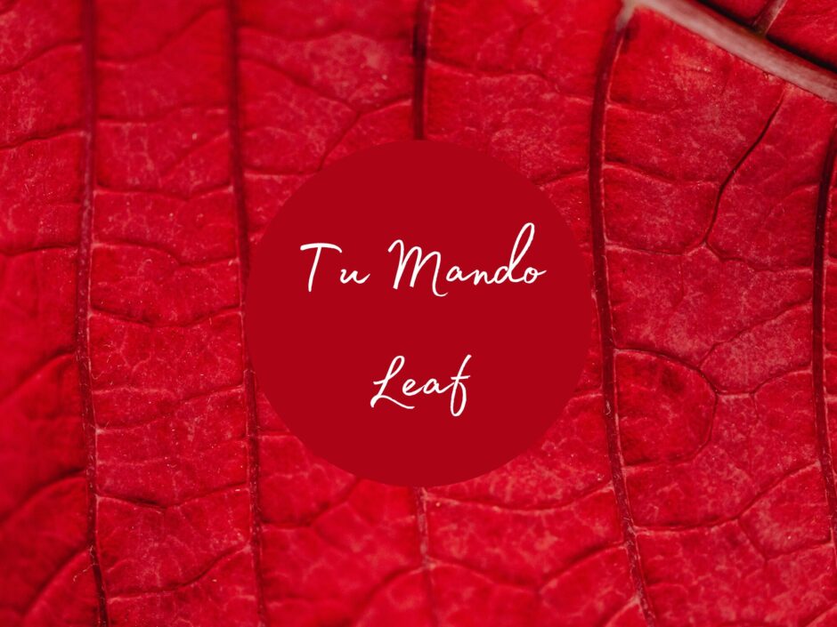 Header image featuring a close up of the veins in a red leaf. Text reads: Tu Mando Leaf